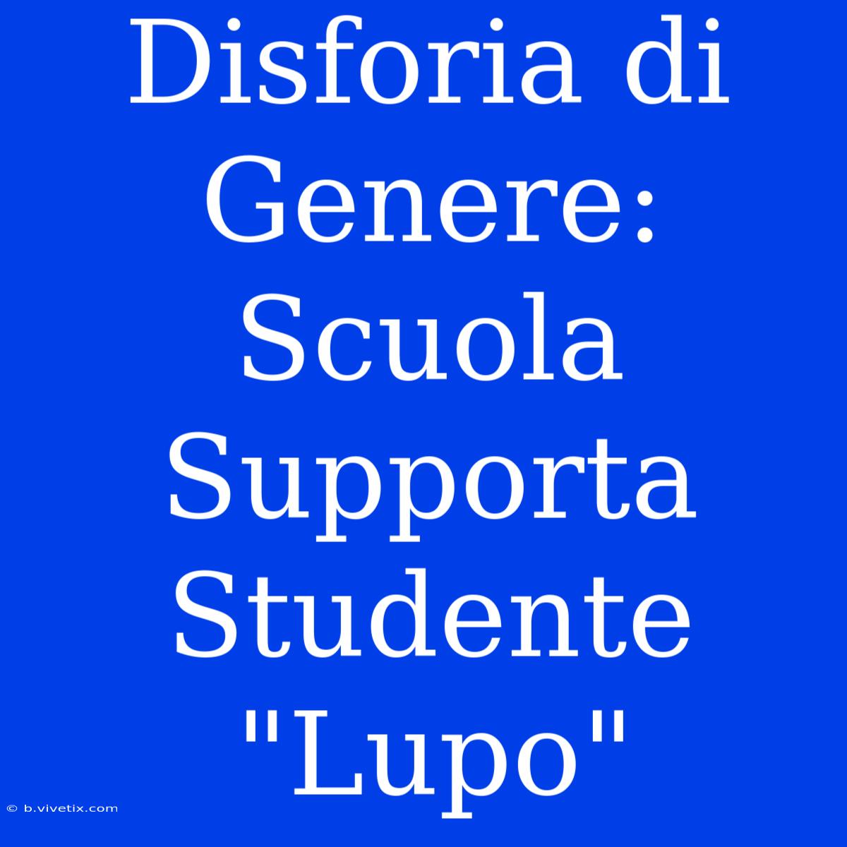 Disforia Di Genere: Scuola Supporta Studente 