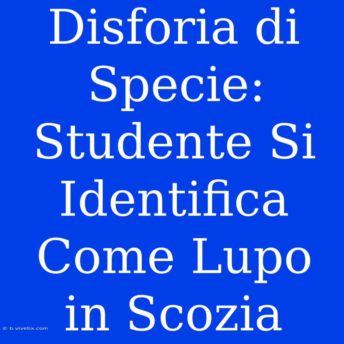 Disforia Di Specie: Studente Si Identifica Come Lupo In Scozia