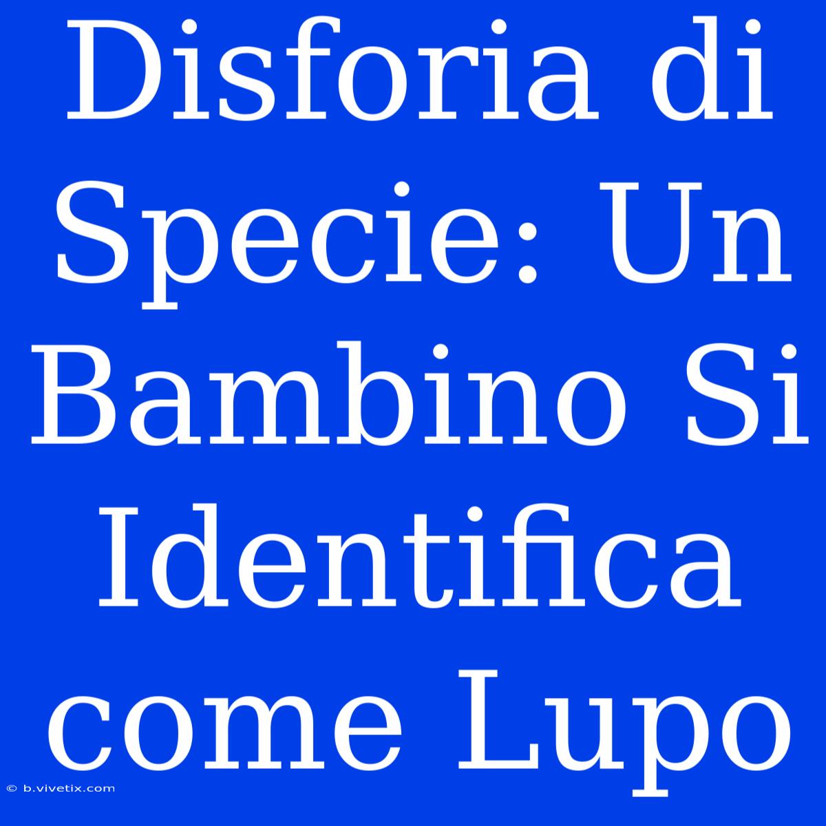 Disforia Di Specie: Un Bambino Si Identifica Come Lupo