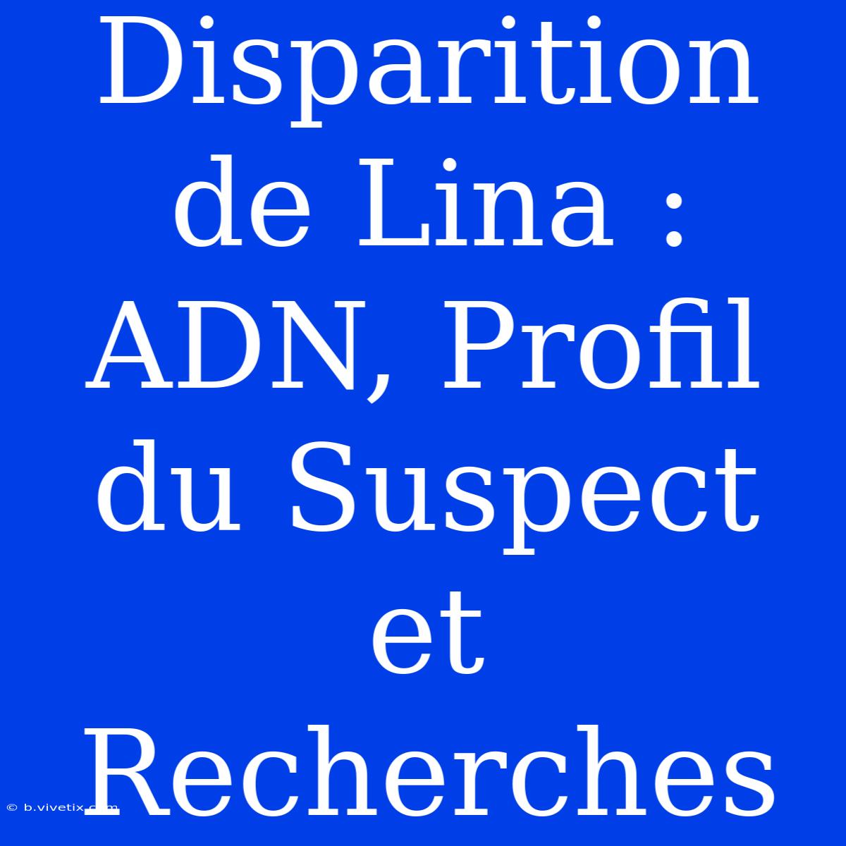 Disparition De Lina : ADN, Profil Du Suspect Et Recherches