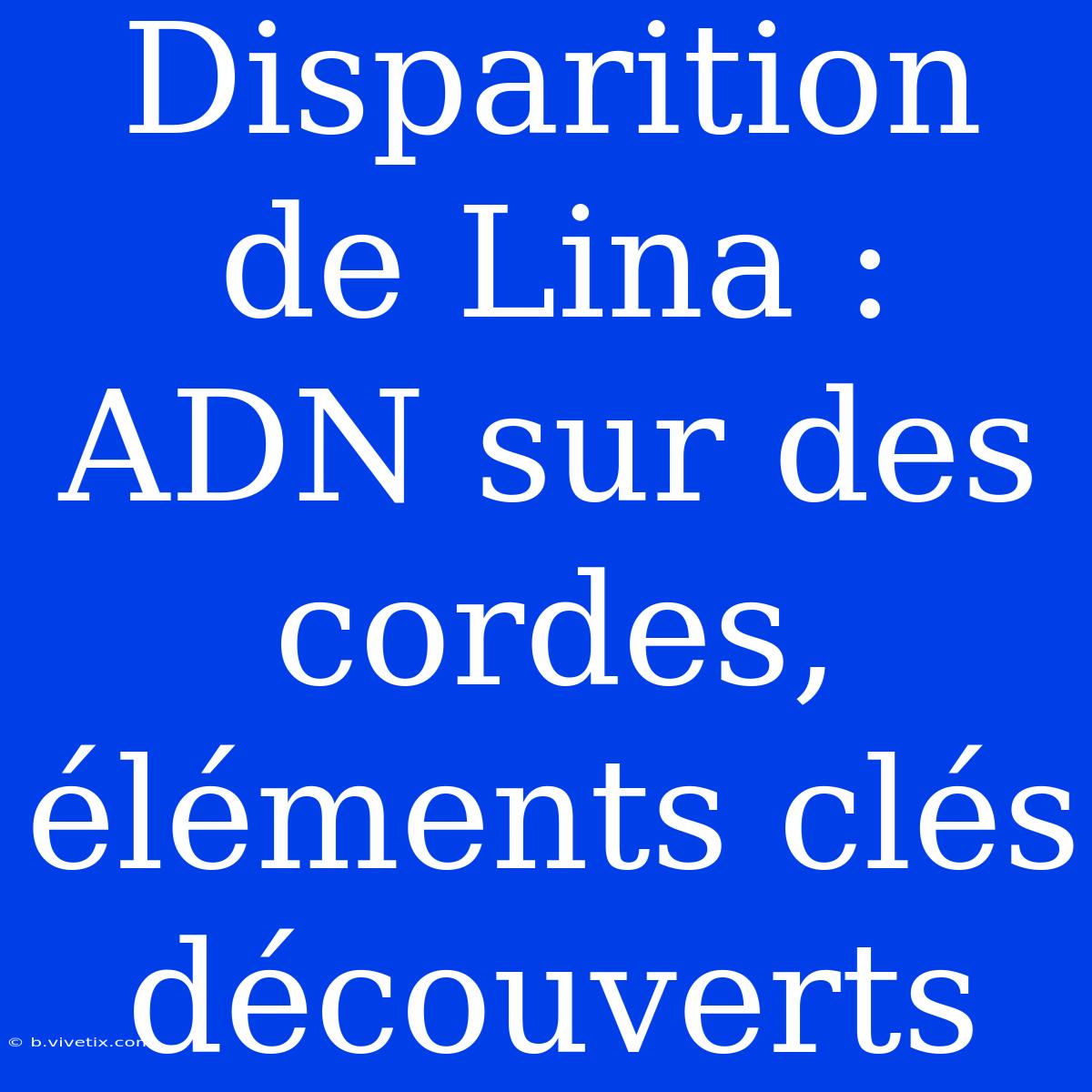 Disparition De Lina : ADN Sur Des Cordes, Éléments Clés Découverts