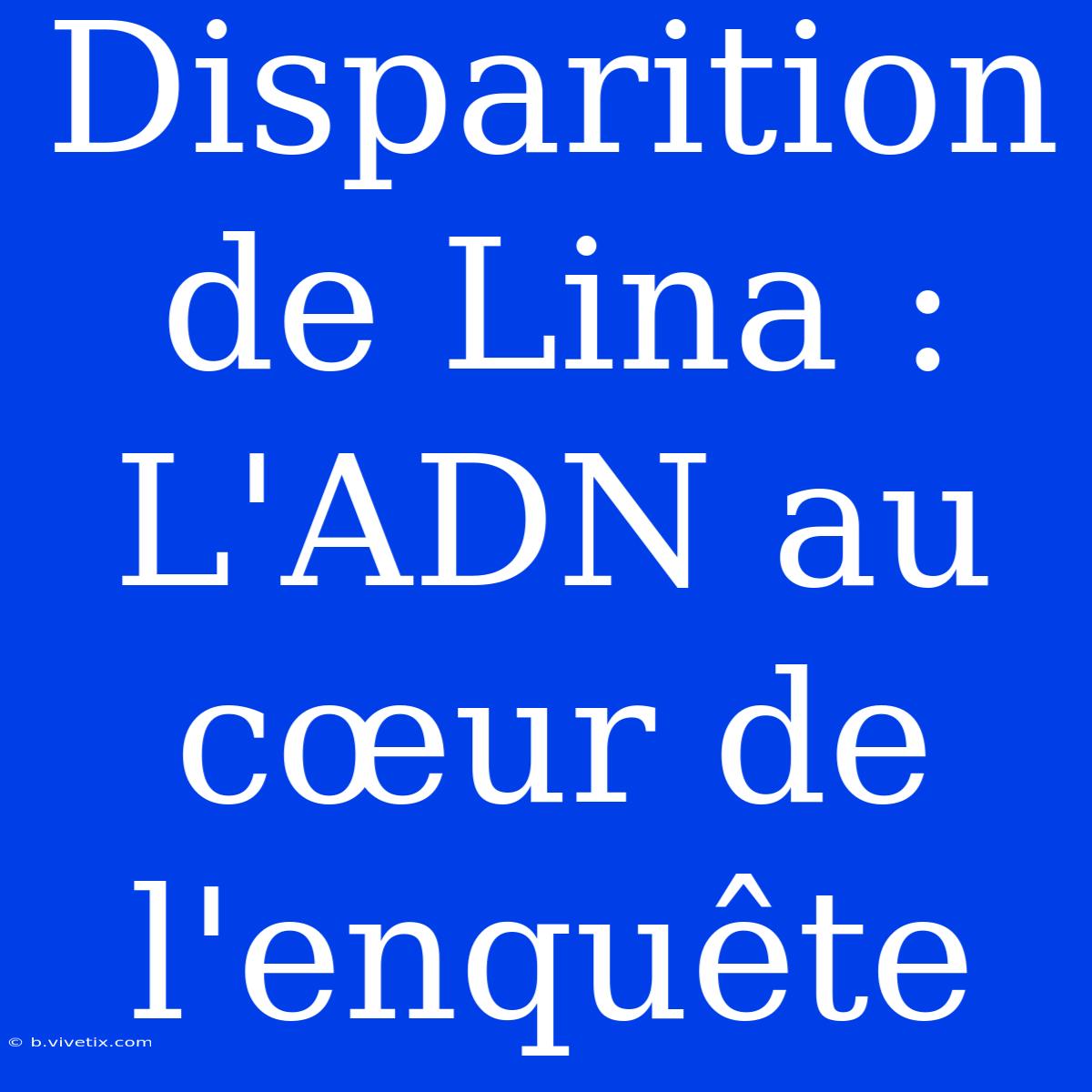 Disparition De Lina : L'ADN Au Cœur De L'enquête