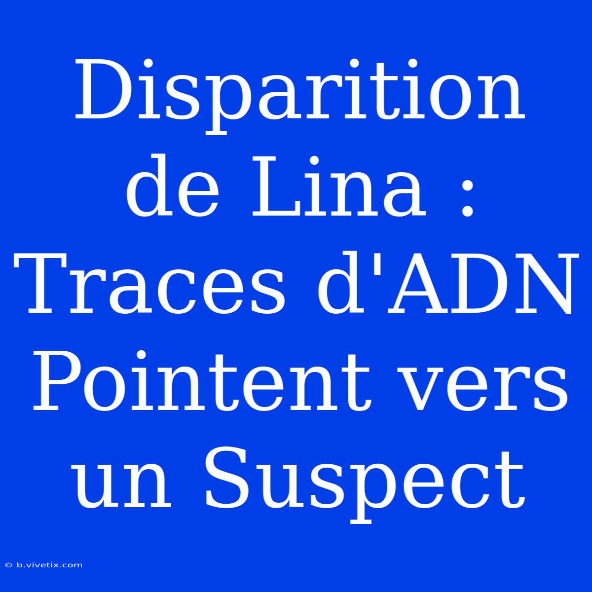 Disparition De Lina : Traces D'ADN Pointent Vers Un Suspect