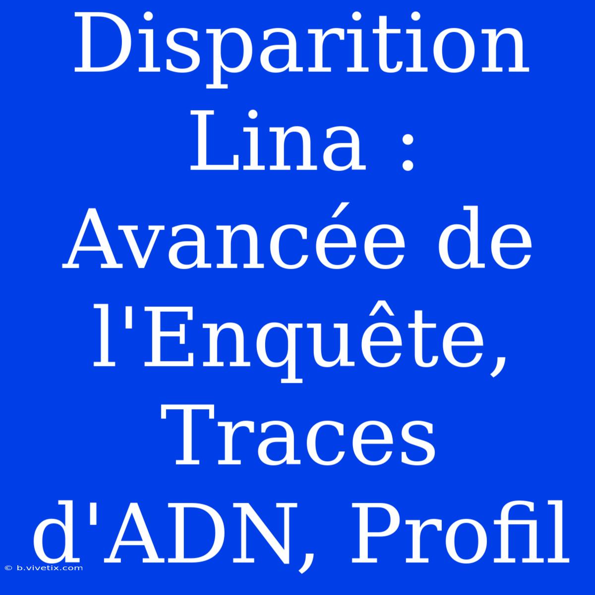 Disparition Lina : Avancée De L'Enquête, Traces D'ADN, Profil