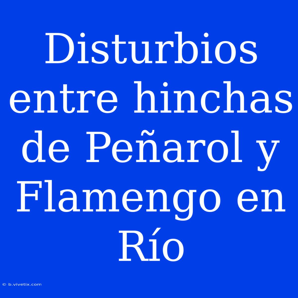 Disturbios Entre Hinchas De Peñarol Y Flamengo En Río