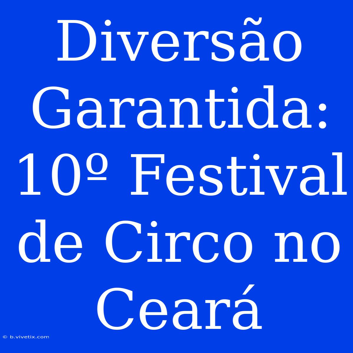 Diversão Garantida: 10º Festival De Circo No Ceará