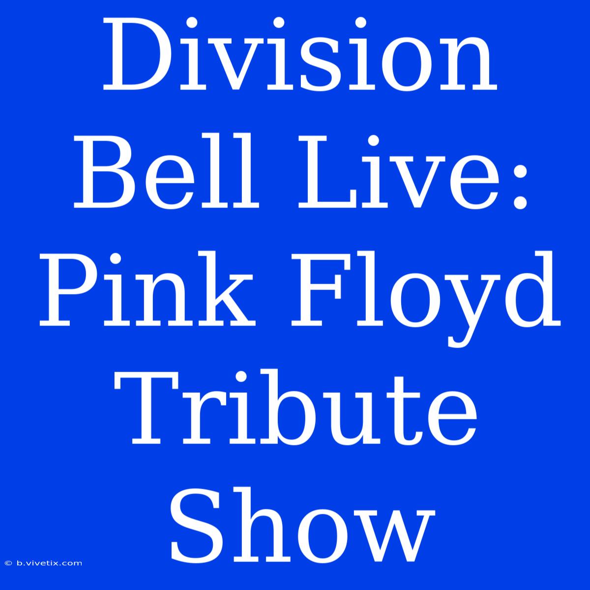 Division Bell Live: Pink Floyd Tribute Show