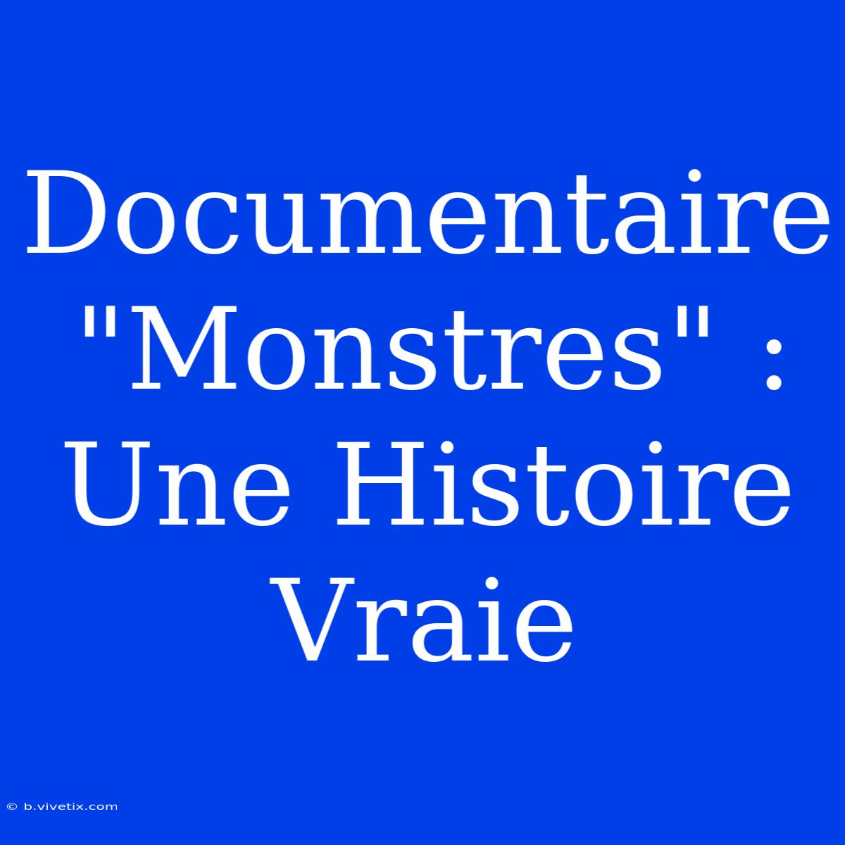 Documentaire 