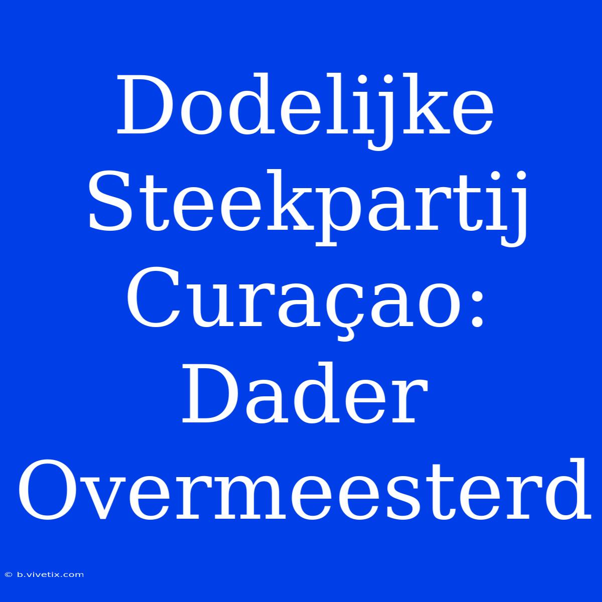 Dodelijke Steekpartij Curaçao: Dader Overmeesterd