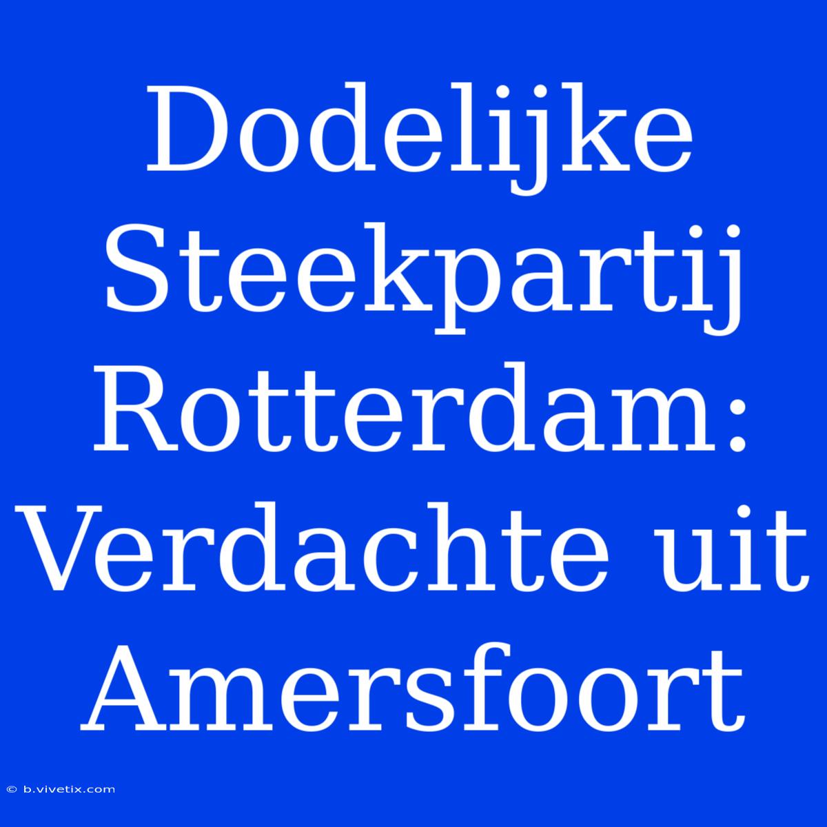 Dodelijke Steekpartij Rotterdam: Verdachte Uit Amersfoort 