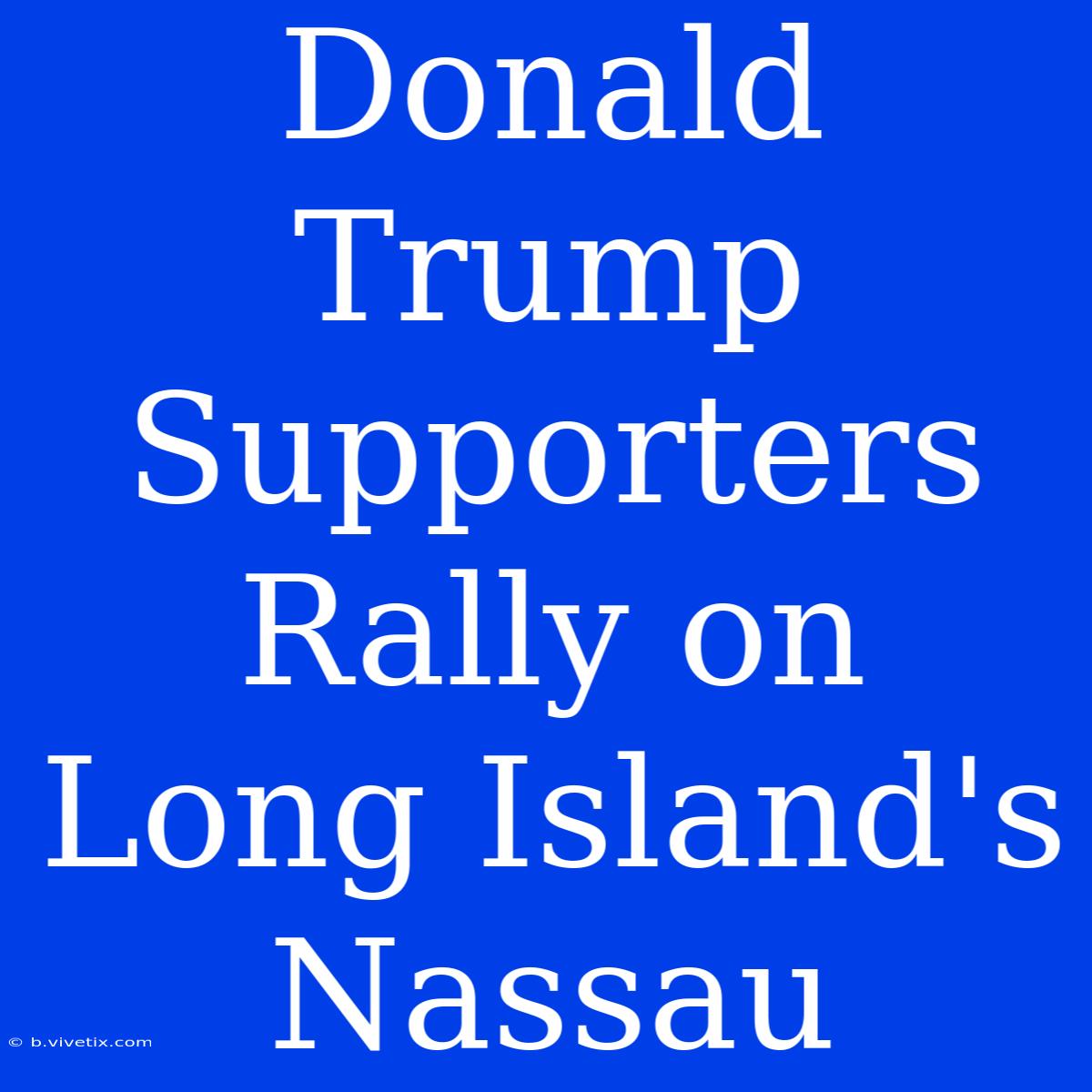 Donald Trump Supporters Rally On Long Island's Nassau