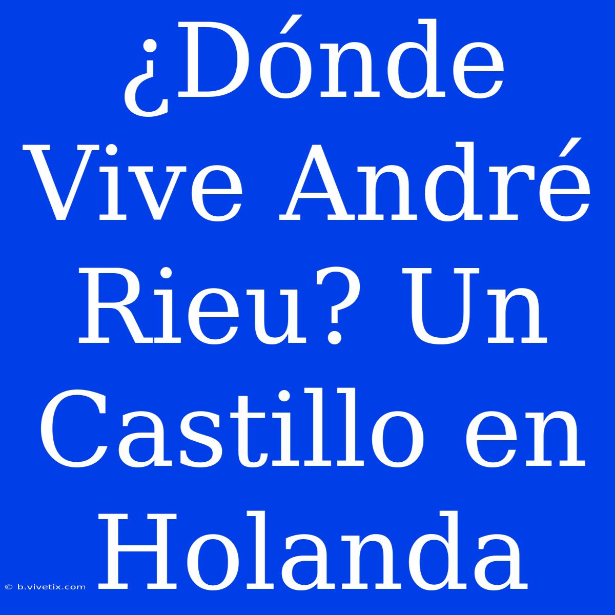 ¿Dónde Vive André Rieu? Un Castillo En Holanda