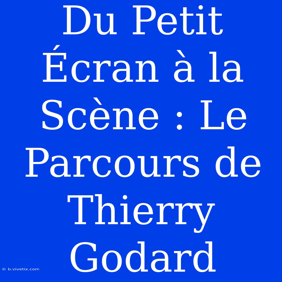 Du Petit Écran À La Scène : Le Parcours De Thierry Godard