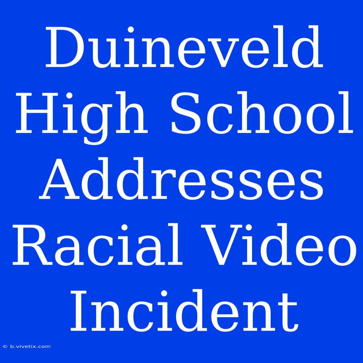 Duineveld High School Addresses Racial Video Incident