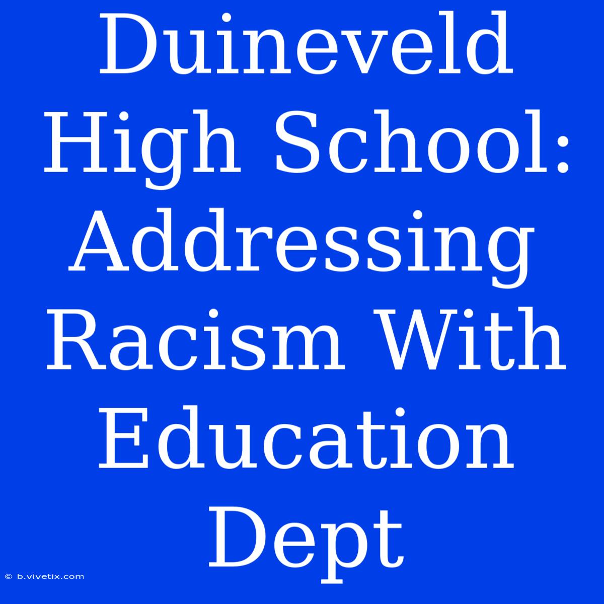 Duineveld High School: Addressing Racism With Education Dept