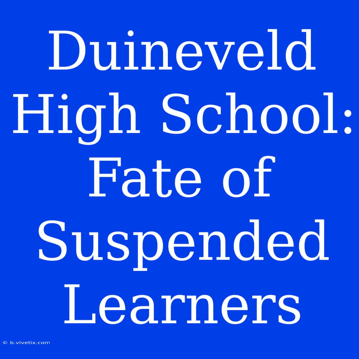 Duineveld High School:  Fate Of Suspended Learners  