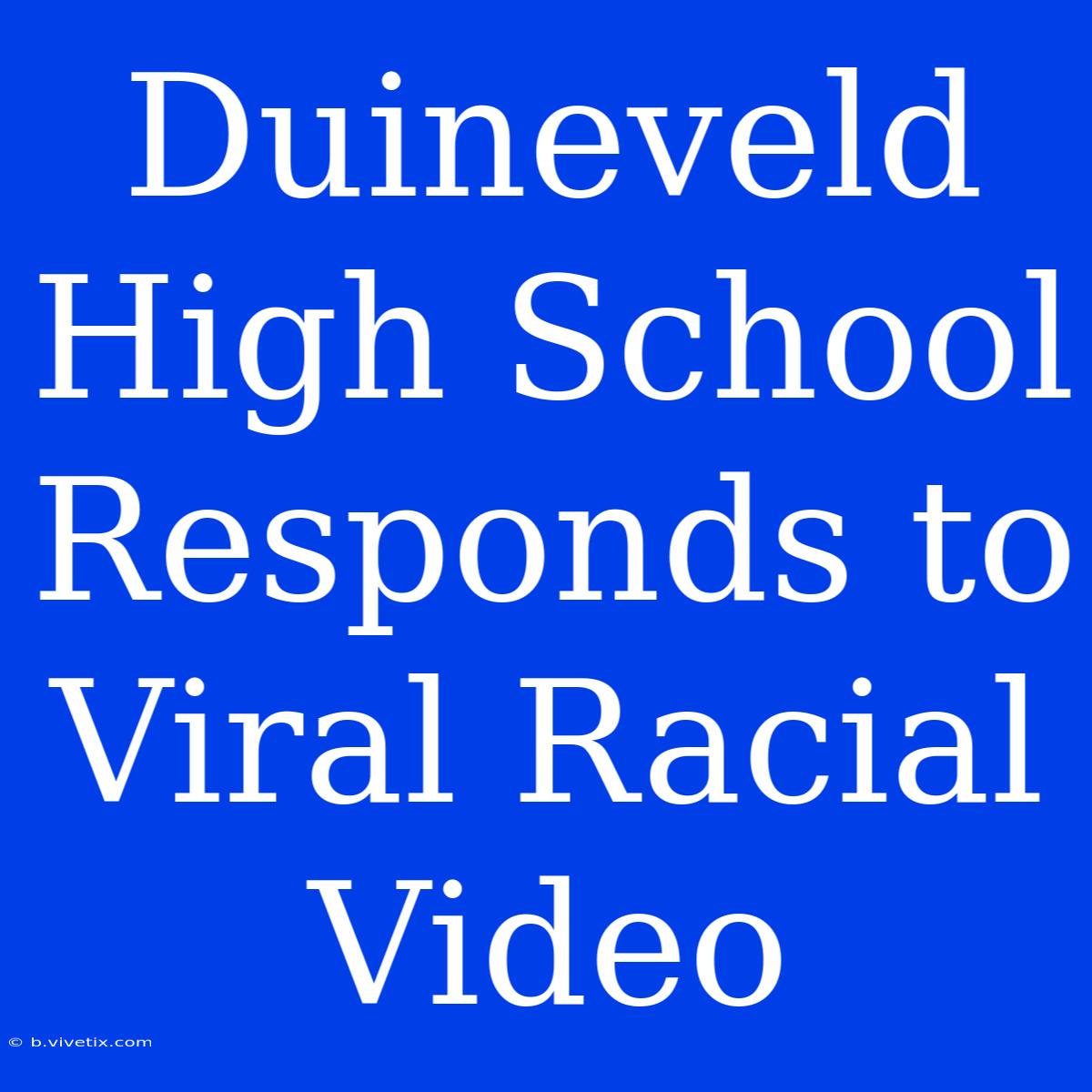 Duineveld High School Responds To Viral Racial Video