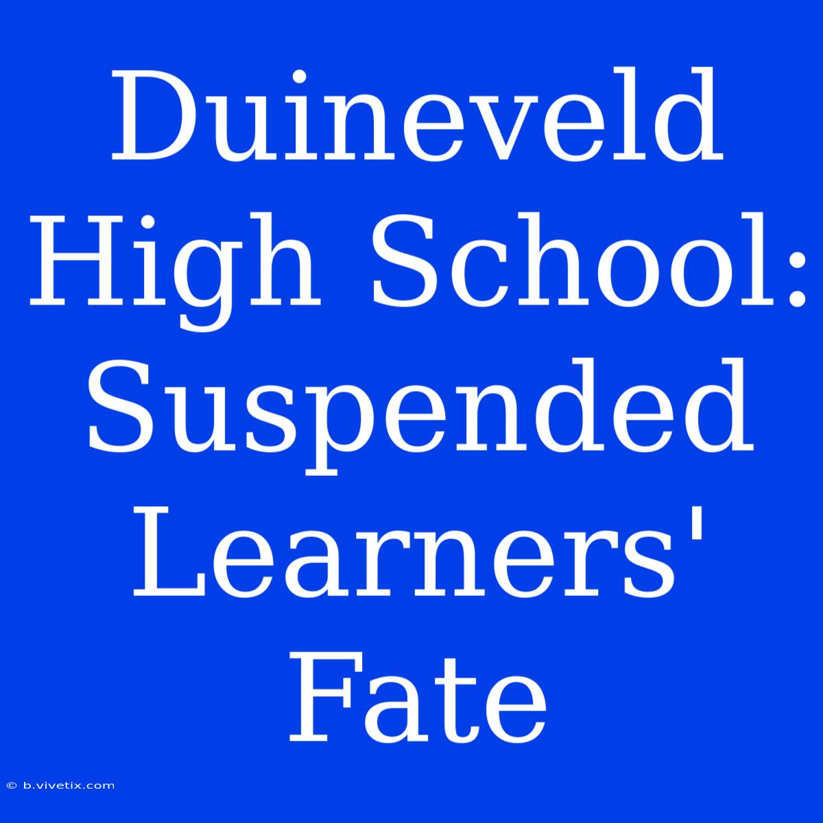 Duineveld High School:  Suspended Learners' Fate  