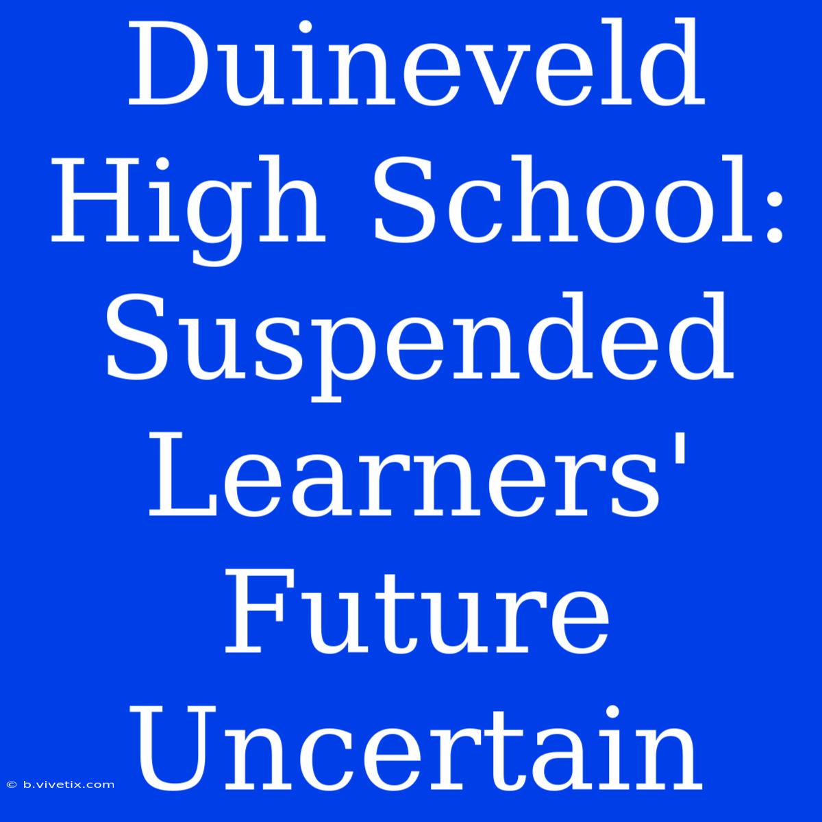 Duineveld High School: Suspended Learners' Future Uncertain