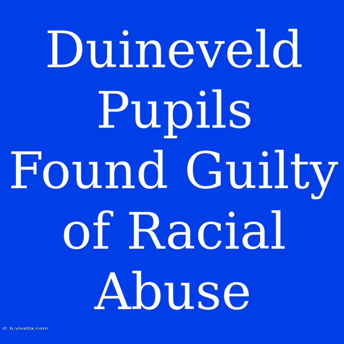 Duineveld Pupils Found Guilty Of Racial Abuse