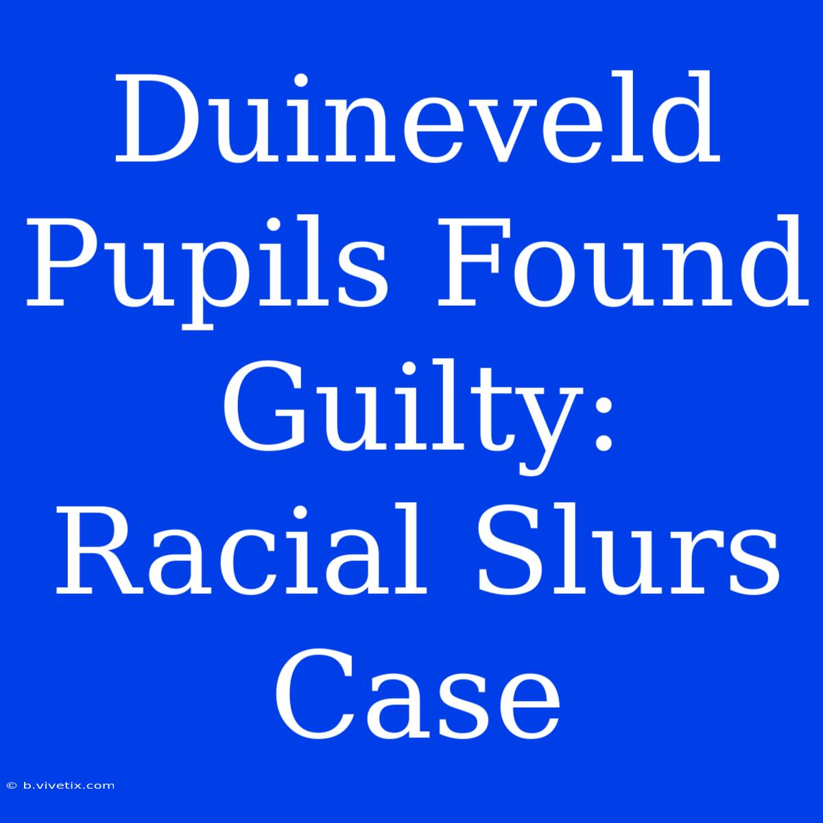 Duineveld Pupils Found Guilty: Racial Slurs Case