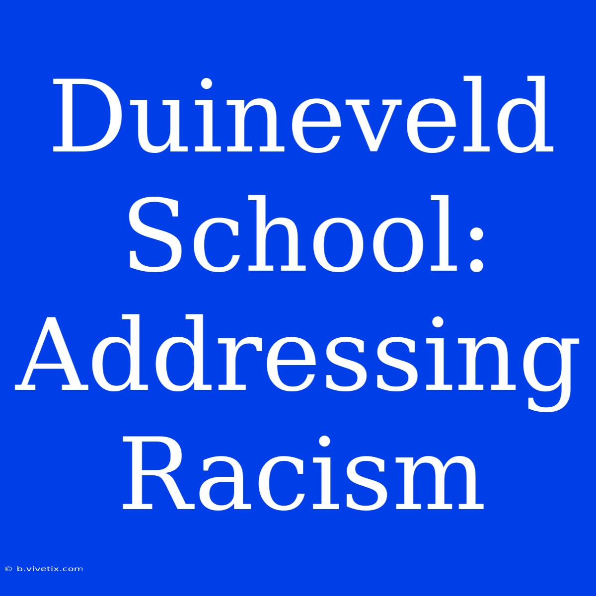 Duineveld School: Addressing Racism