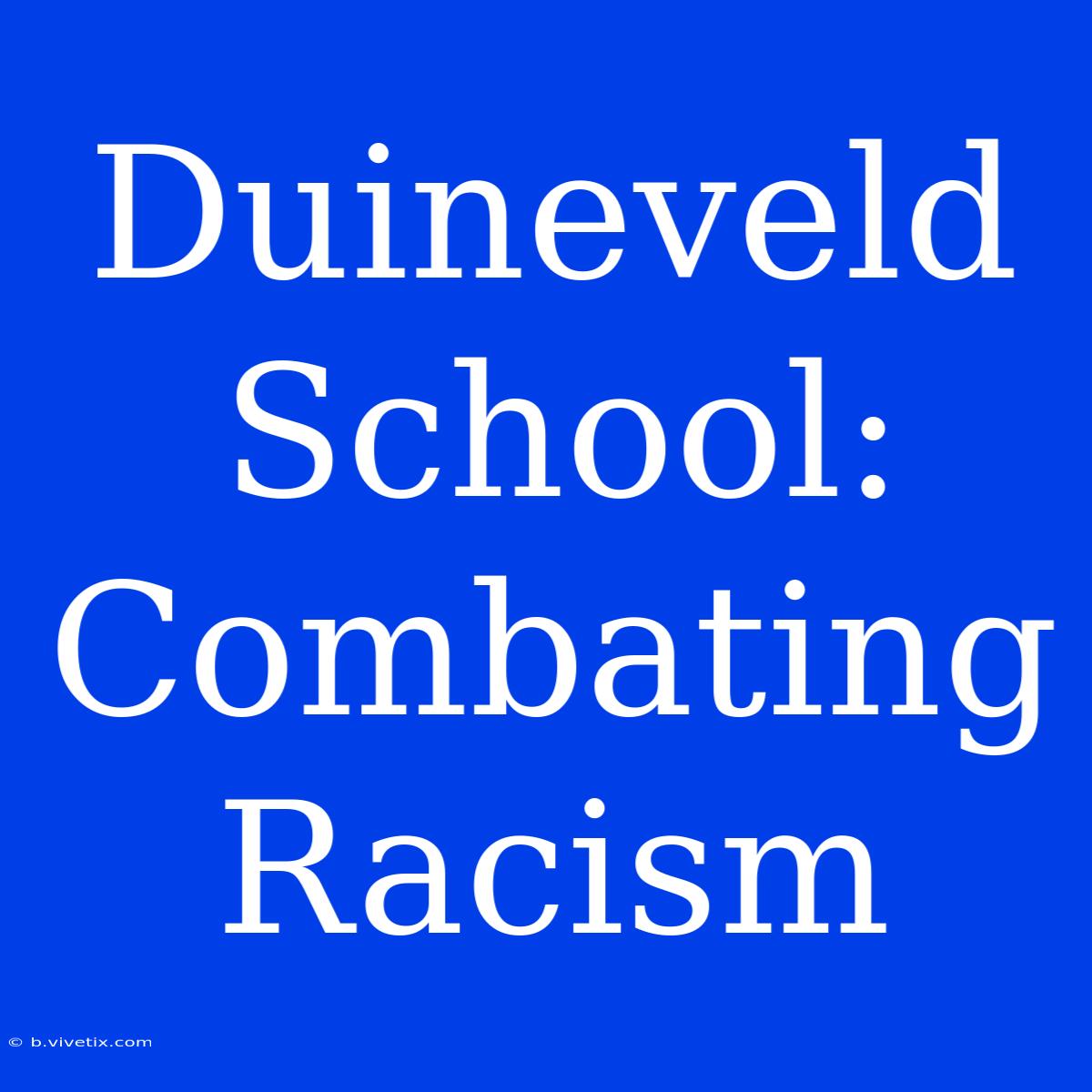 Duineveld School: Combating Racism