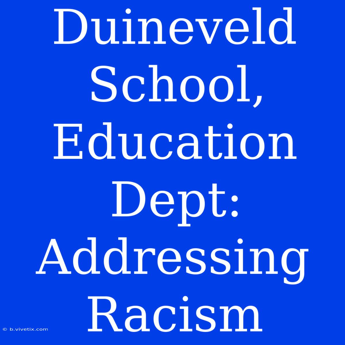 Duineveld School, Education Dept: Addressing Racism