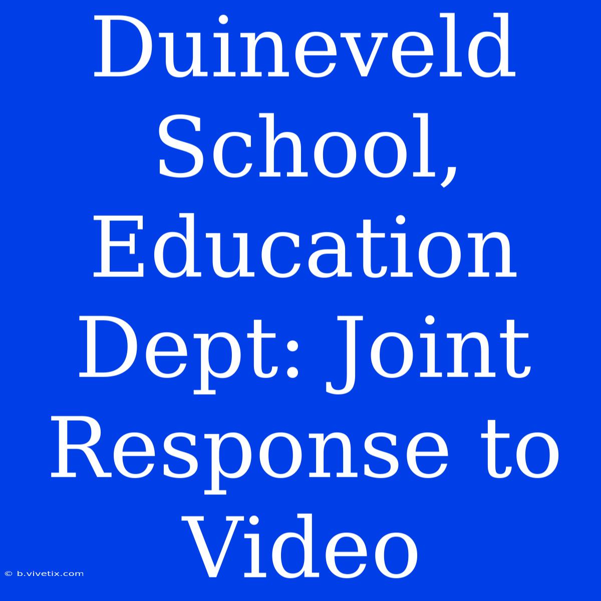 Duineveld School, Education Dept: Joint Response To Video 