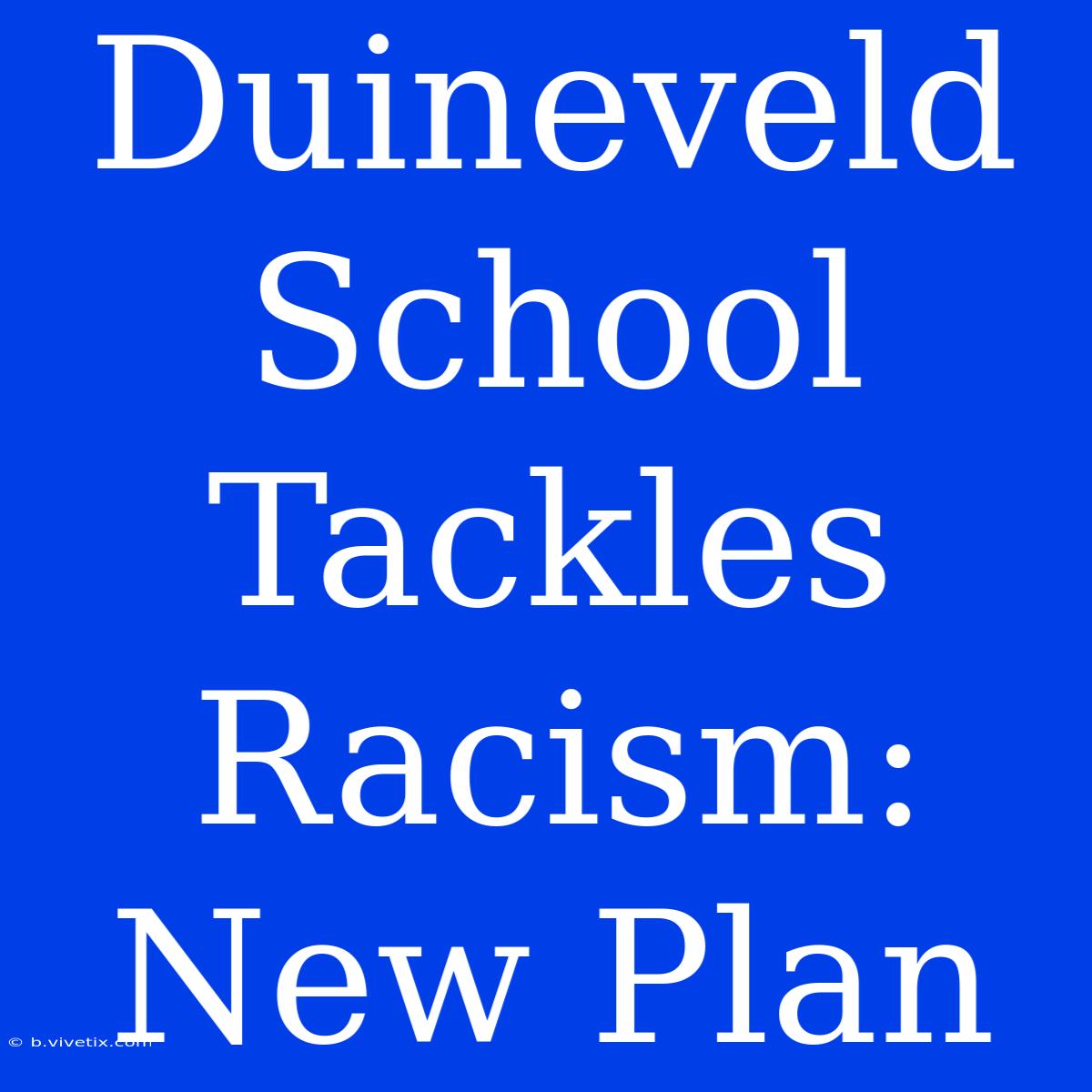 Duineveld School Tackles Racism: New Plan