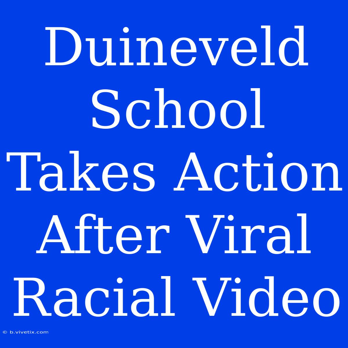 Duineveld School Takes Action After Viral Racial Video