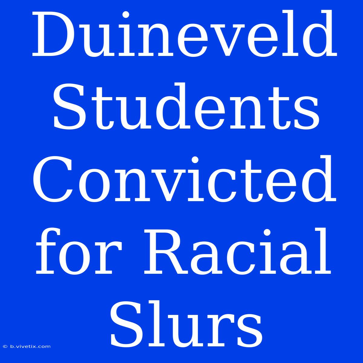 Duineveld Students Convicted For Racial Slurs