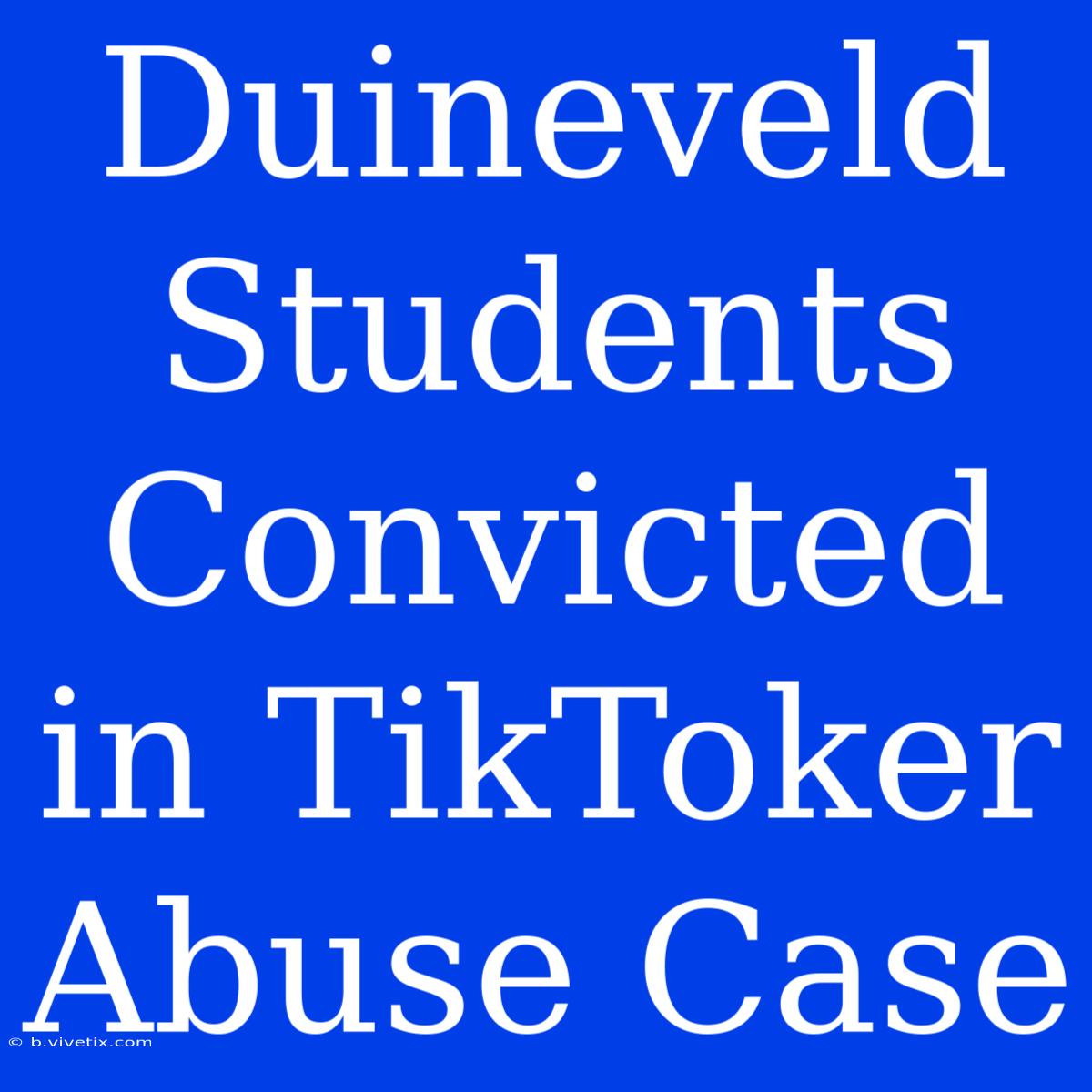 Duineveld Students Convicted In TikToker Abuse Case