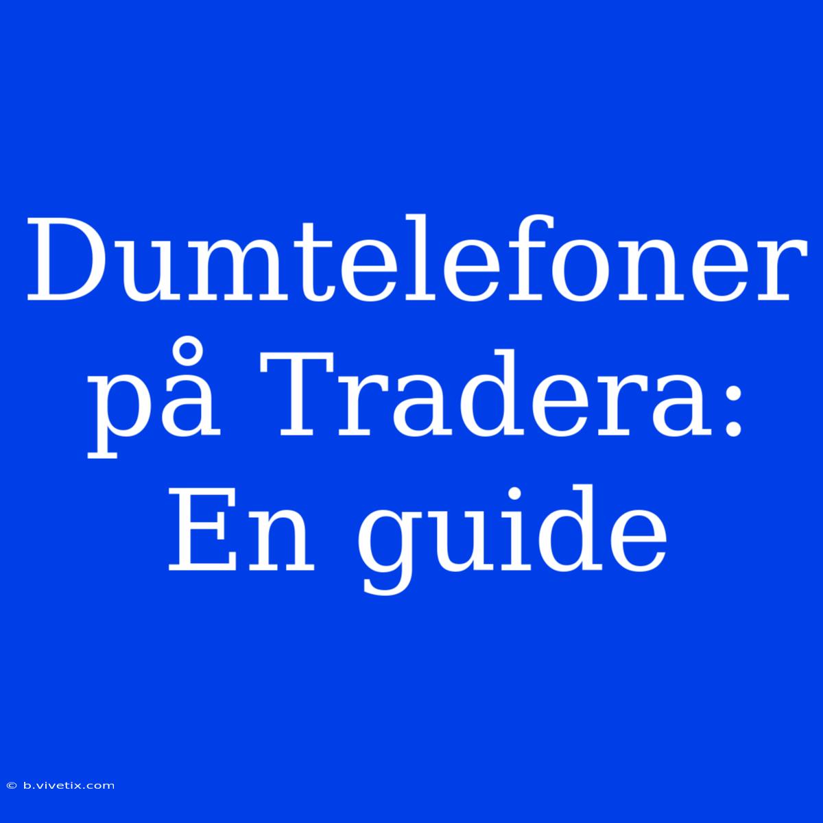 Dumtelefoner På Tradera: En Guide