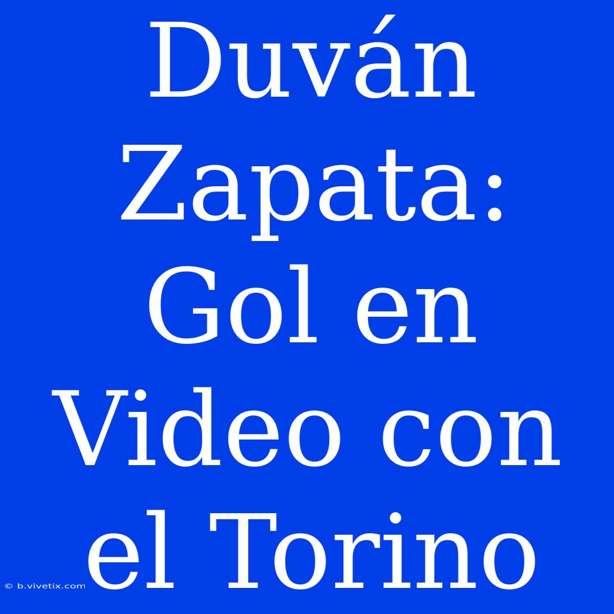 Duván Zapata: Gol En Video Con El Torino