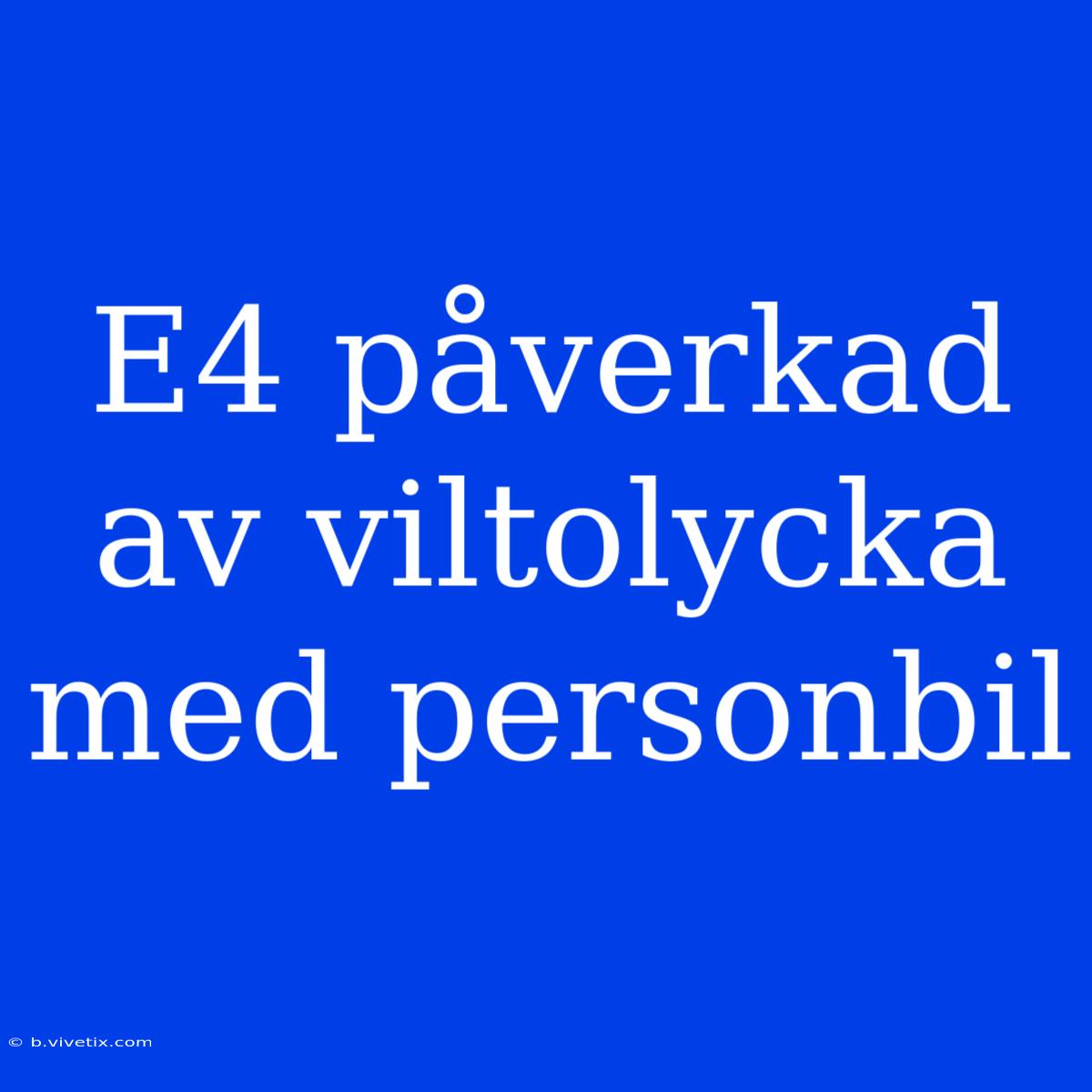 E4 Påverkad Av Viltolycka Med Personbil