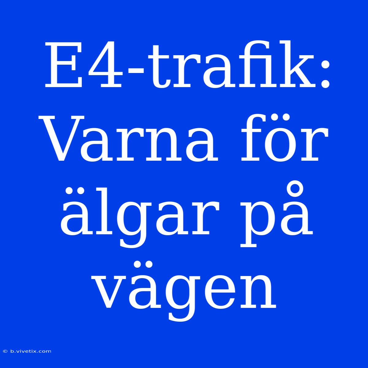 E4-trafik: Varna För Älgar På Vägen 