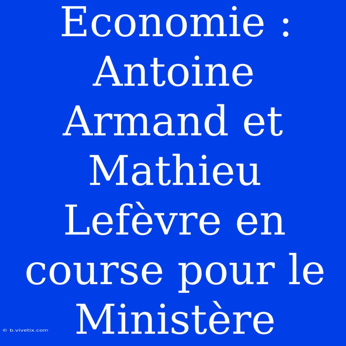 Economie : Antoine Armand Et Mathieu Lefèvre En Course Pour Le Ministère