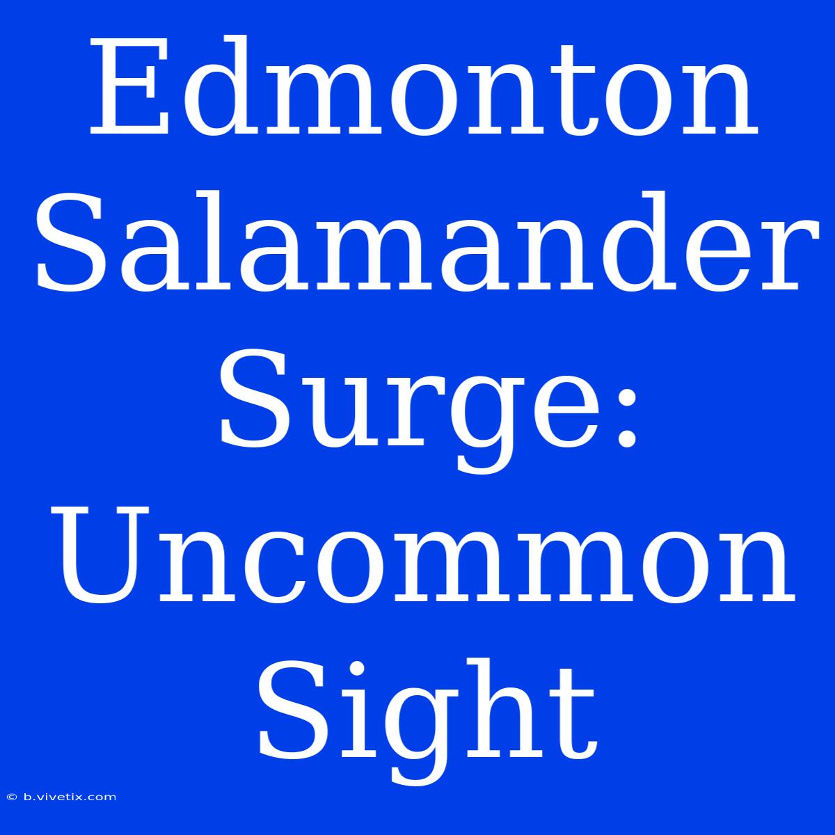 Edmonton Salamander Surge: Uncommon Sight 