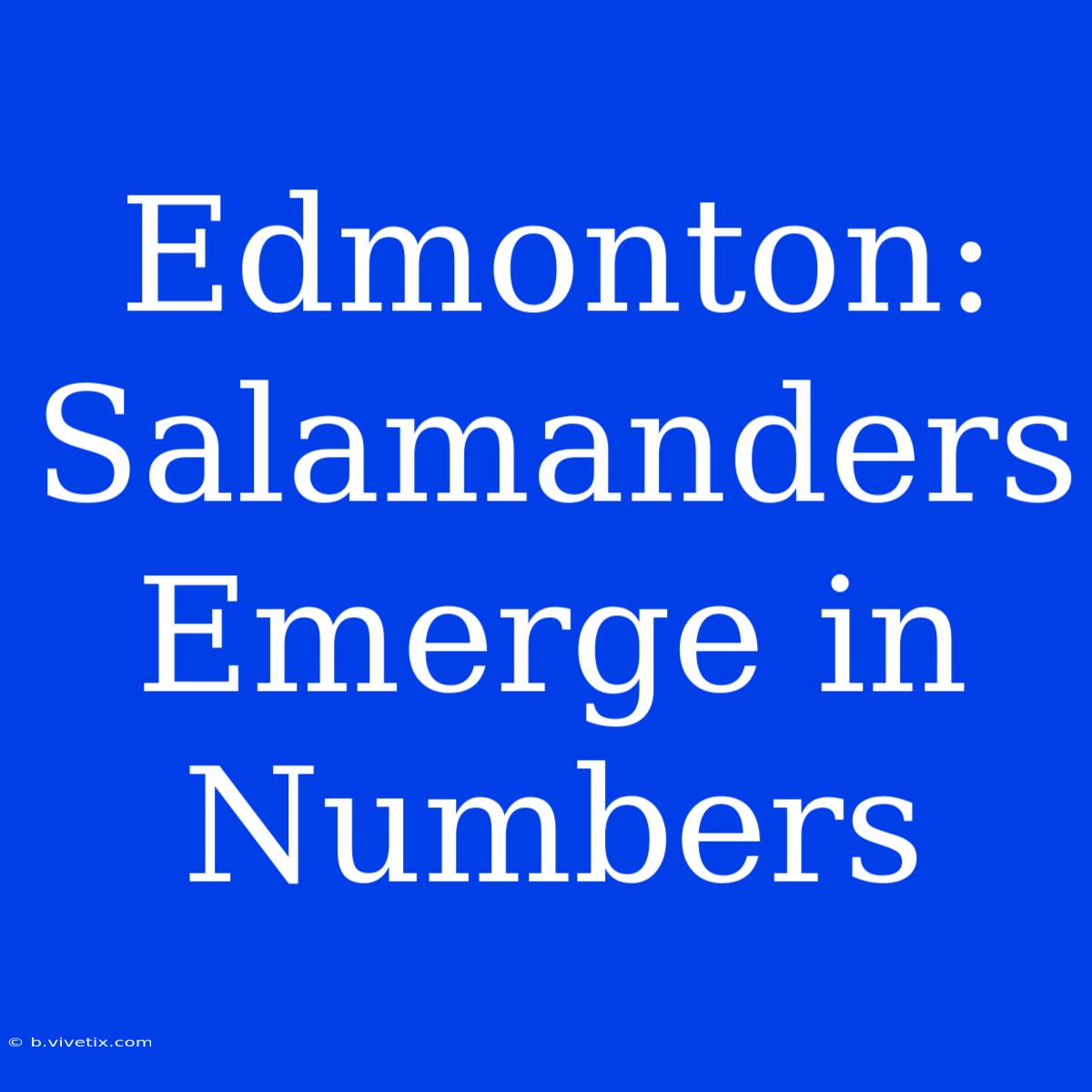 Edmonton: Salamanders Emerge In Numbers