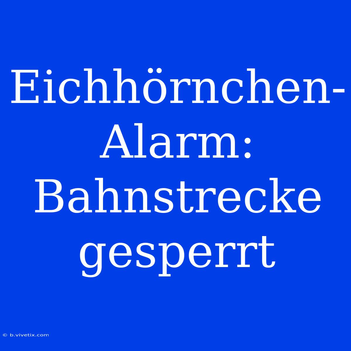 Eichhörnchen-Alarm: Bahnstrecke Gesperrt