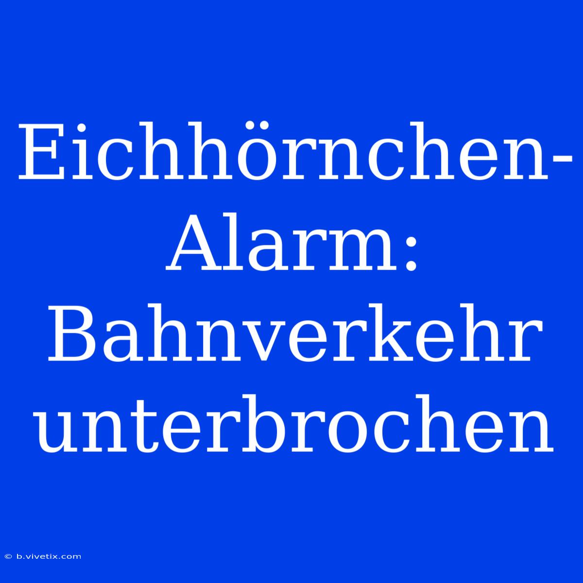 Eichhörnchen-Alarm: Bahnverkehr Unterbrochen