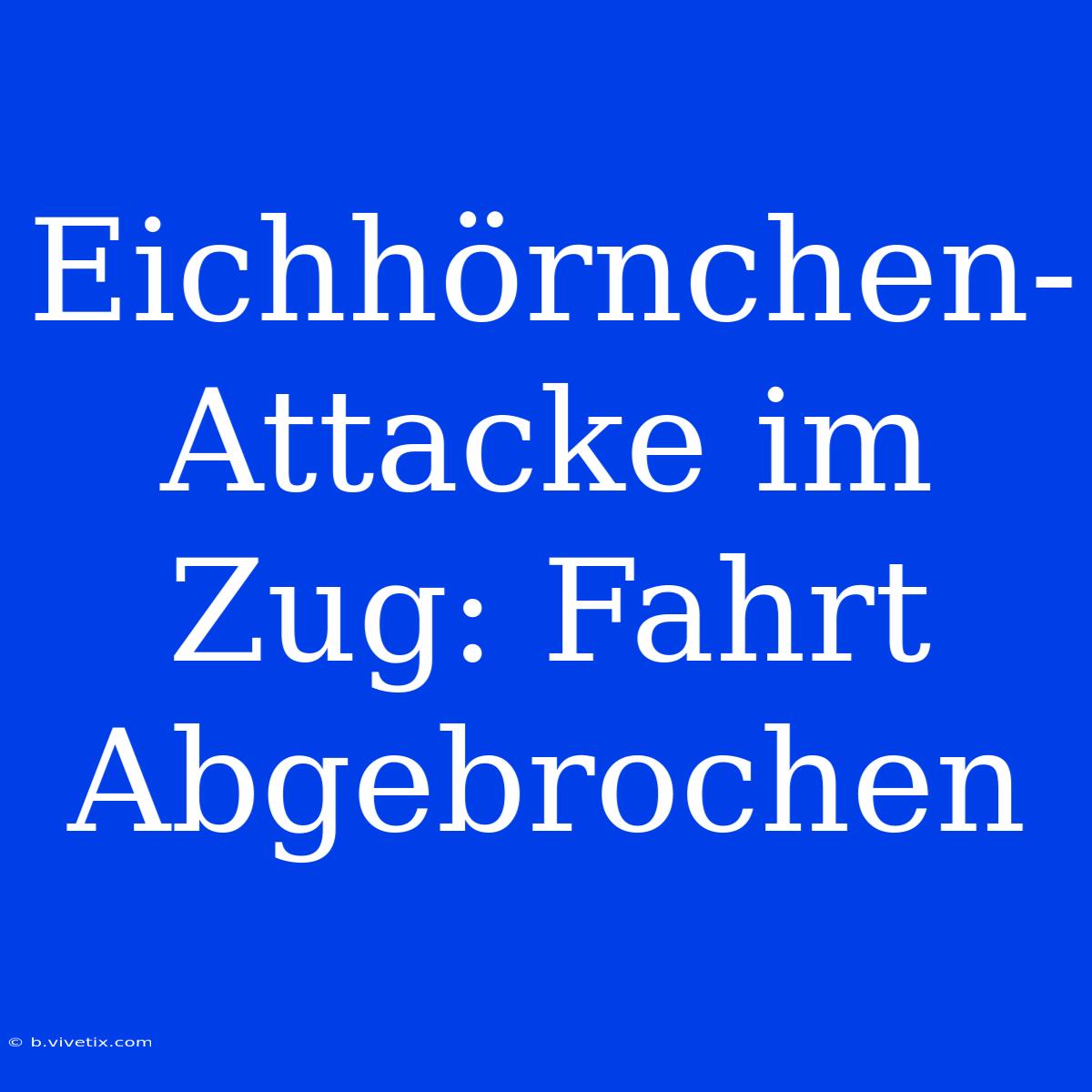 Eichhörnchen-Attacke Im Zug: Fahrt Abgebrochen