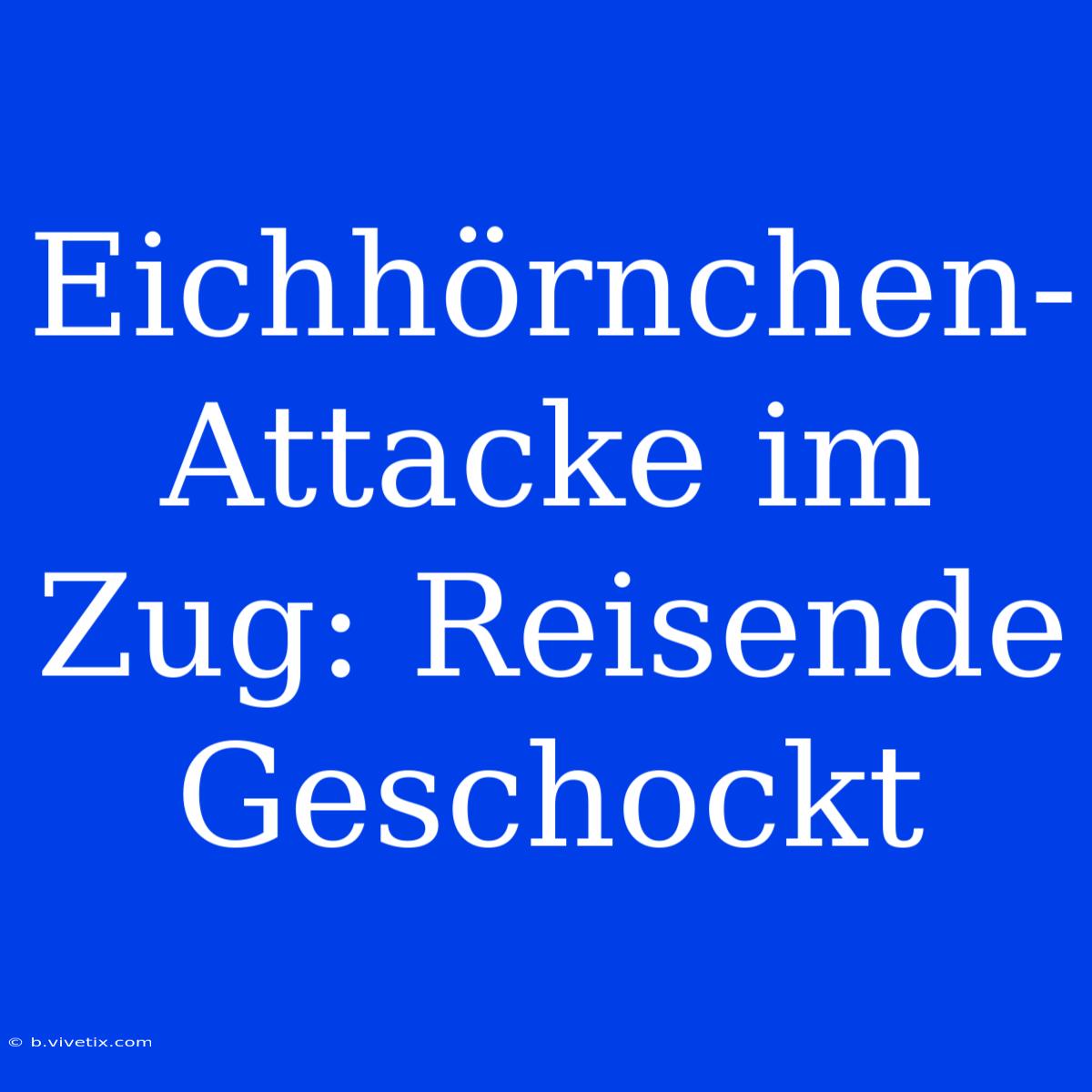 Eichhörnchen-Attacke Im Zug: Reisende Geschockt