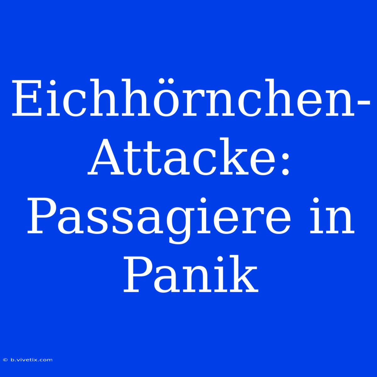 Eichhörnchen-Attacke: Passagiere In Panik 