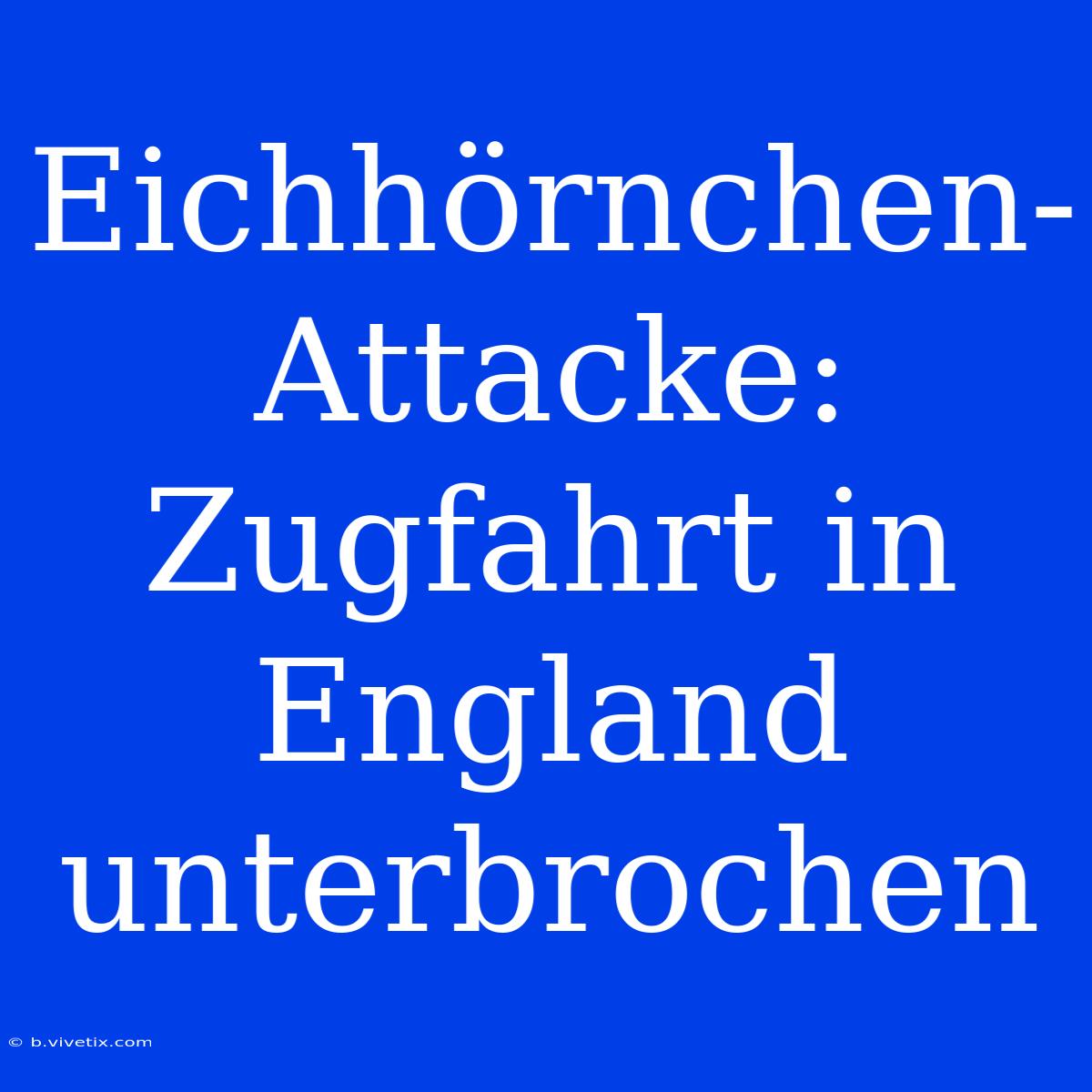 Eichhörnchen-Attacke: Zugfahrt In England Unterbrochen