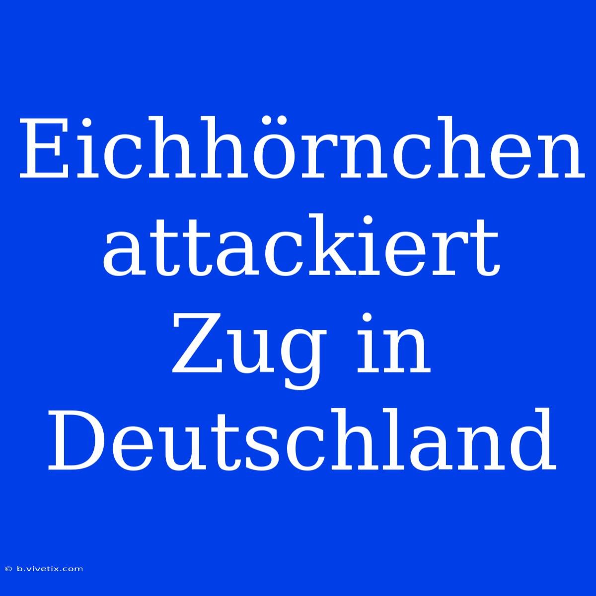 Eichhörnchen Attackiert Zug In Deutschland 