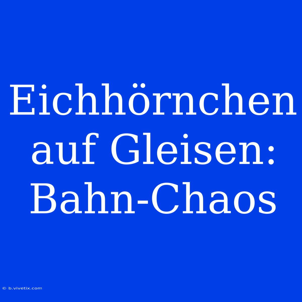 Eichhörnchen Auf Gleisen: Bahn-Chaos