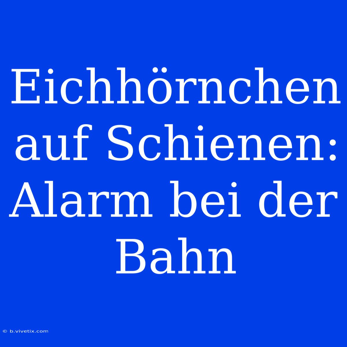 Eichhörnchen Auf Schienen: Alarm Bei Der Bahn