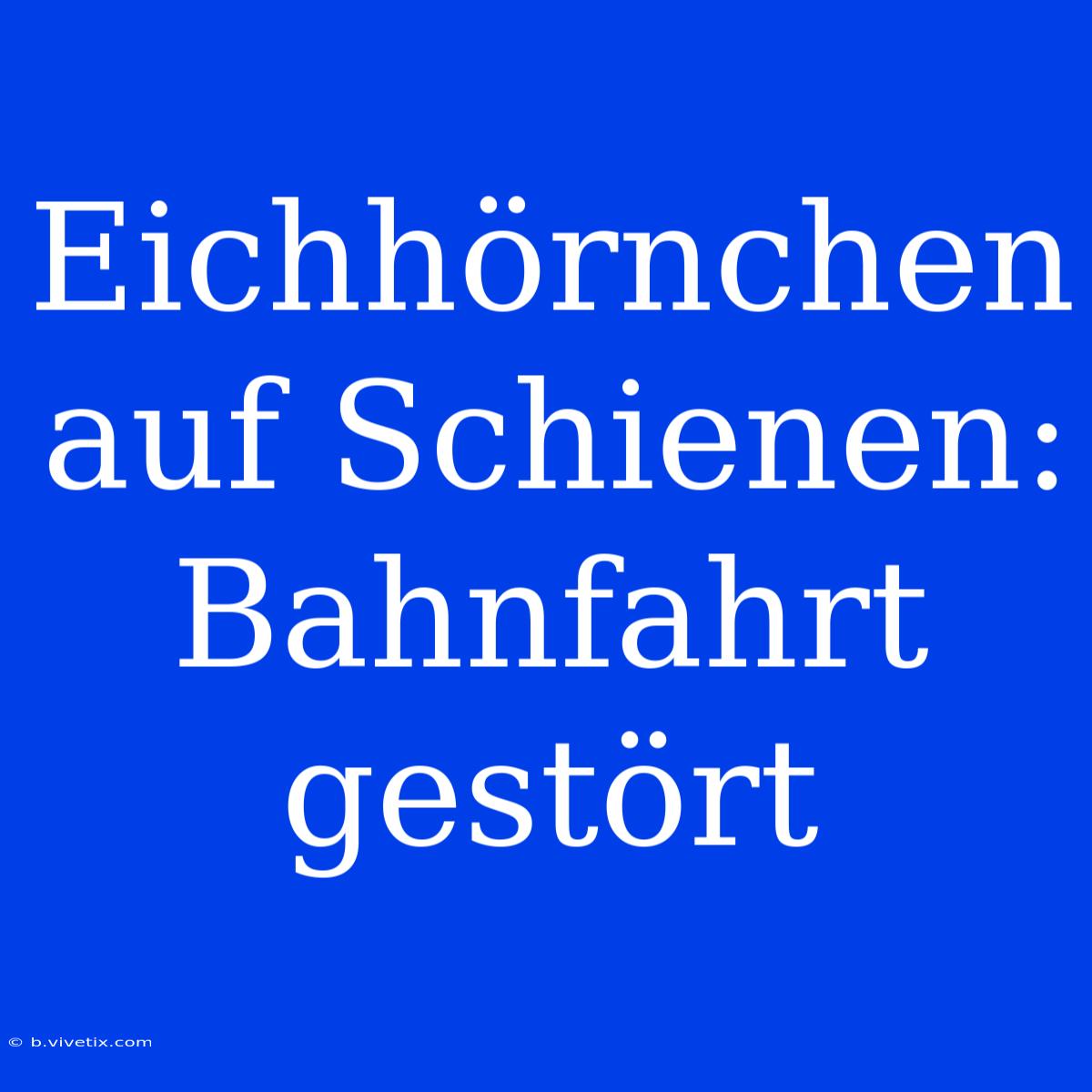 Eichhörnchen Auf Schienen: Bahnfahrt Gestört